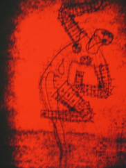 Alfred Kriege: Tnzerin